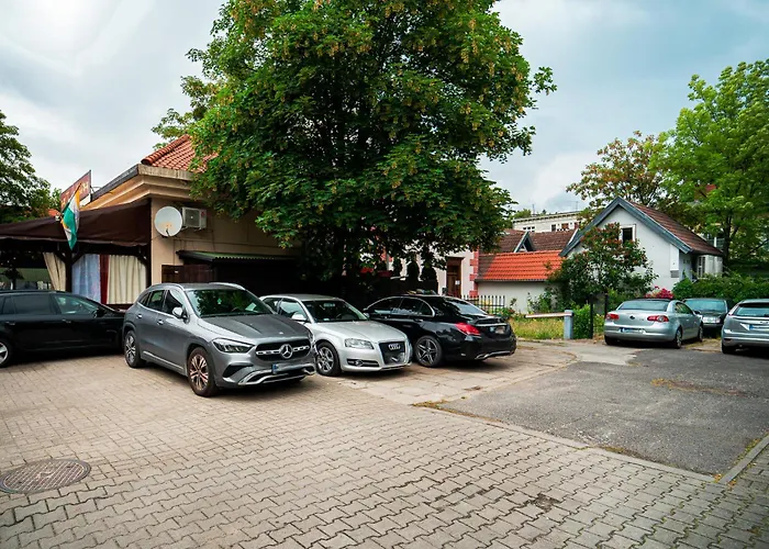 Blue Octopus 索波特